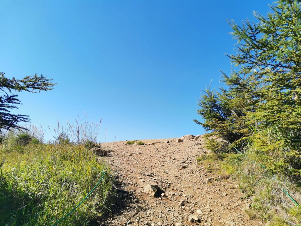 登山道