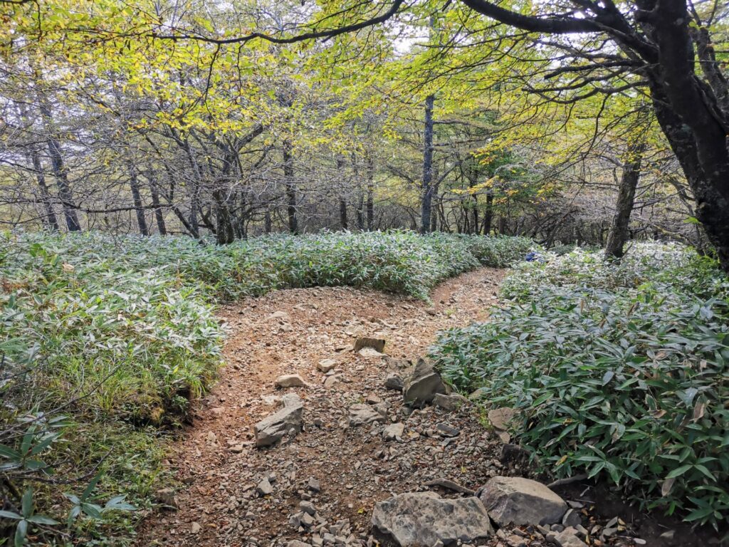 登山道