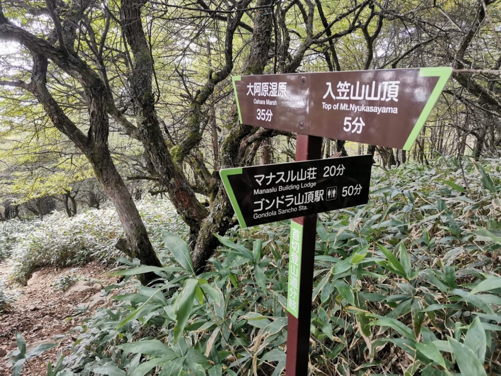 首切登山道分岐 道標