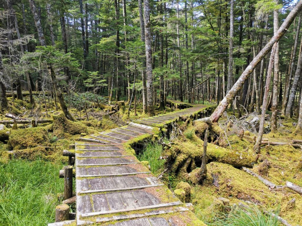 大阿原湿原 木道