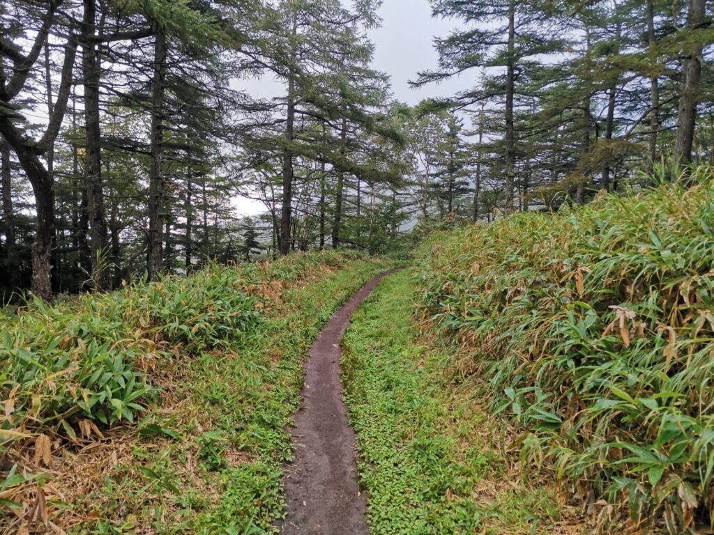 登山道