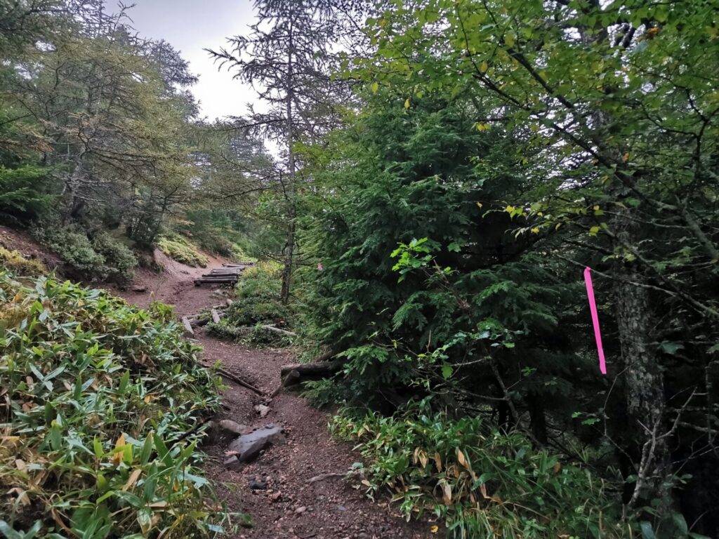 登山道