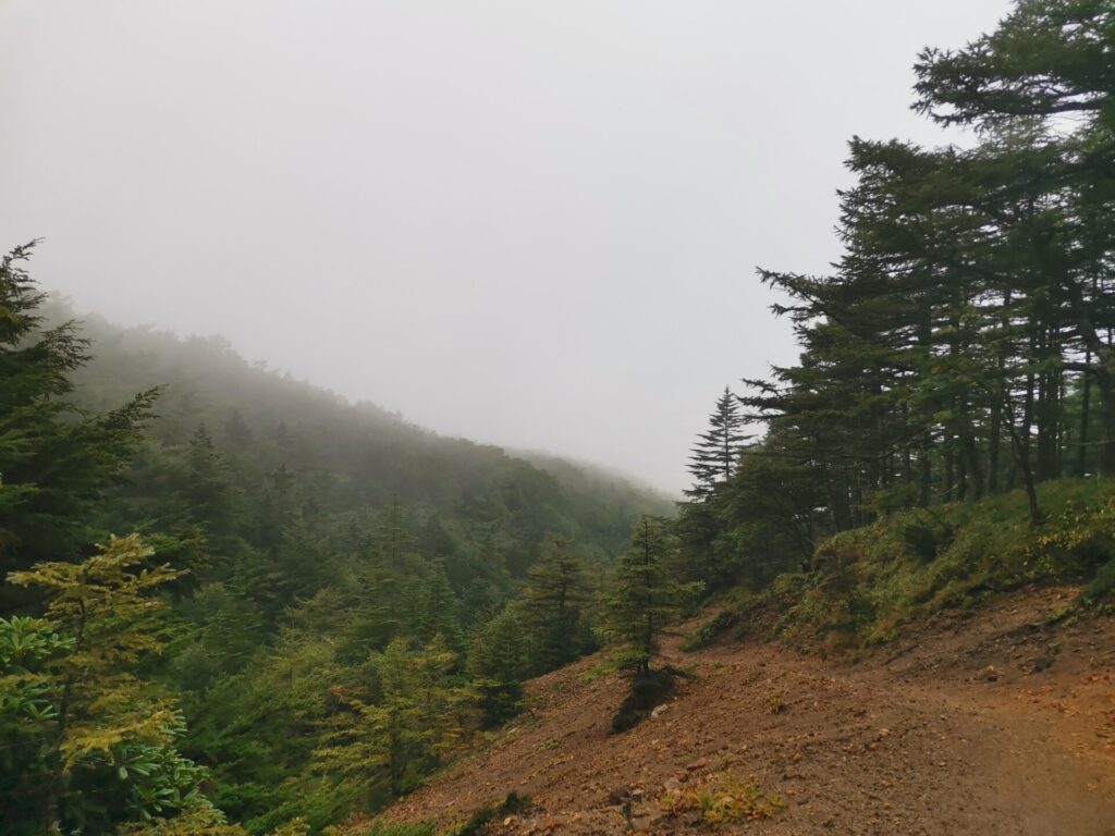 登山道