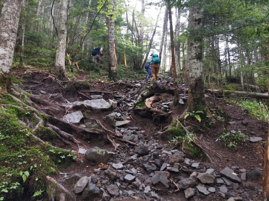 登山道