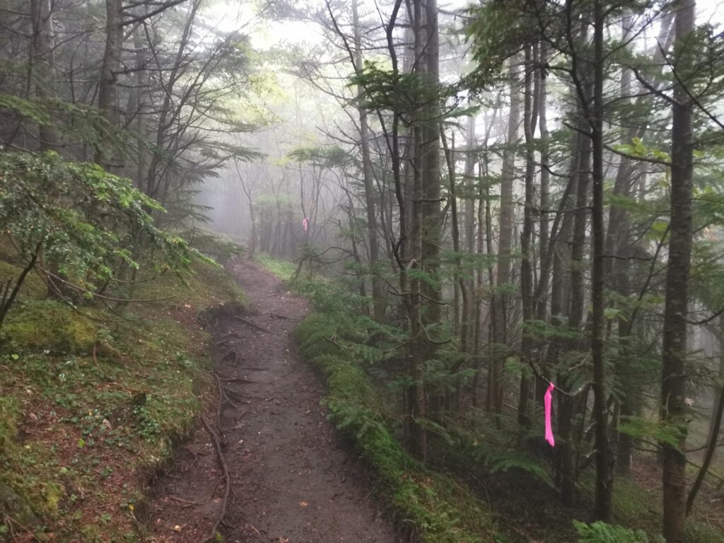 登山道