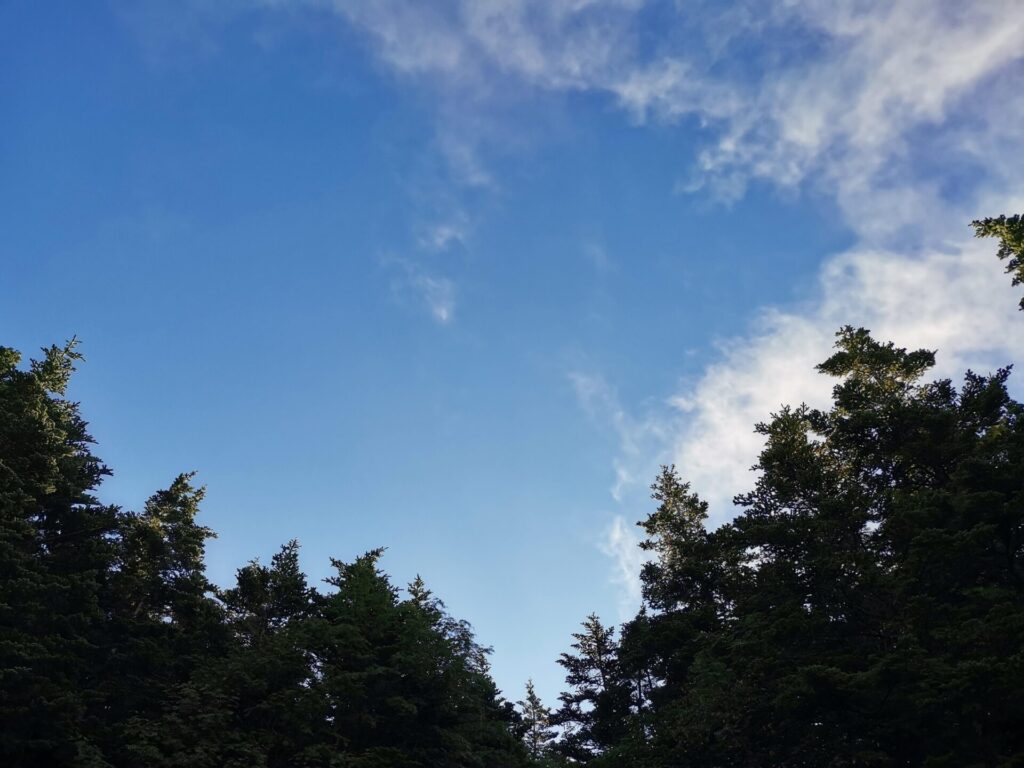 青空