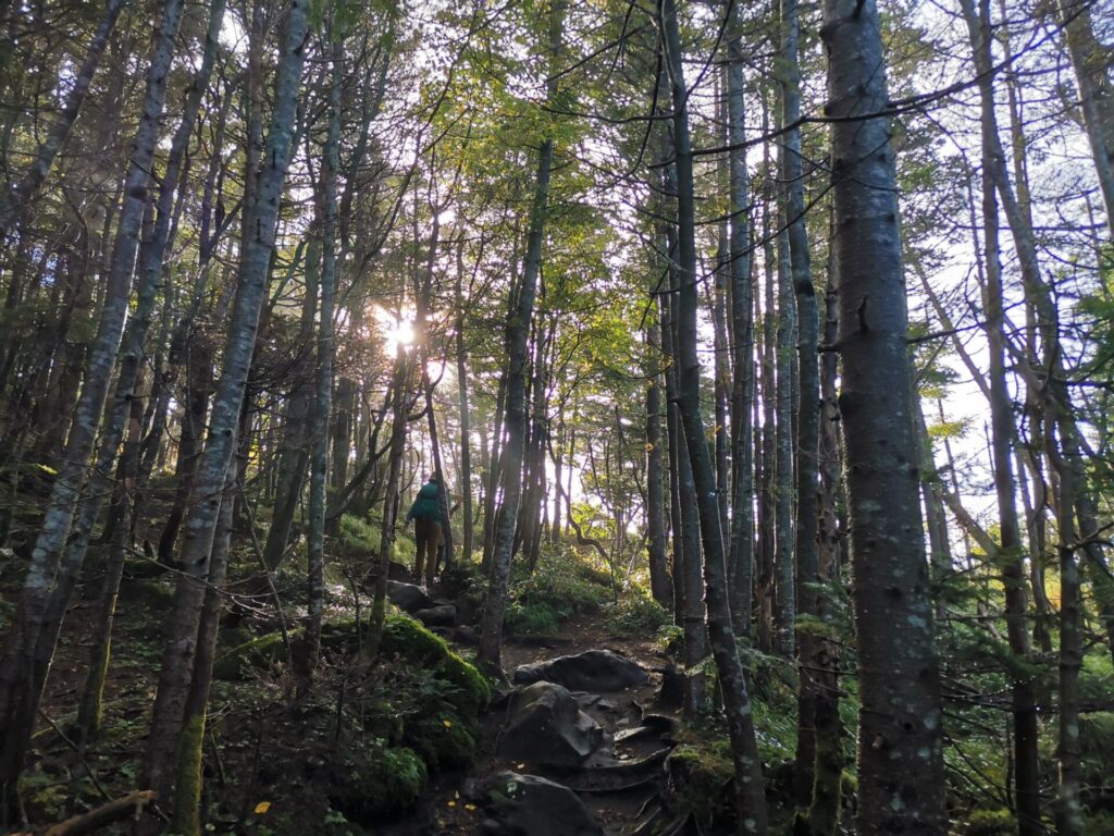 登山道