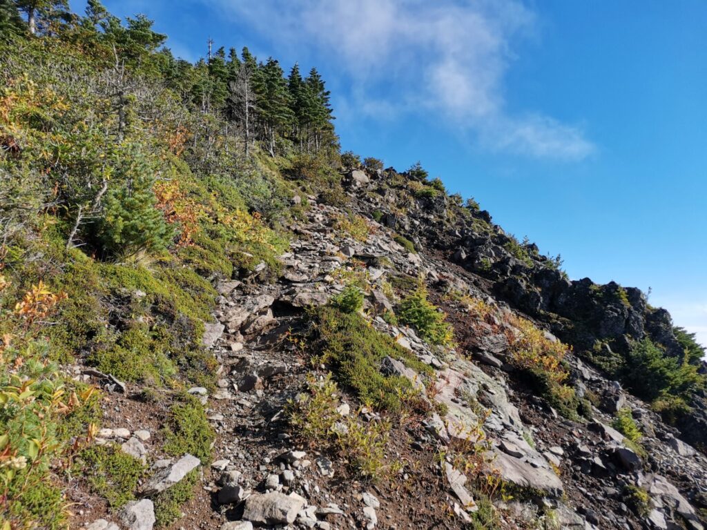 登山道