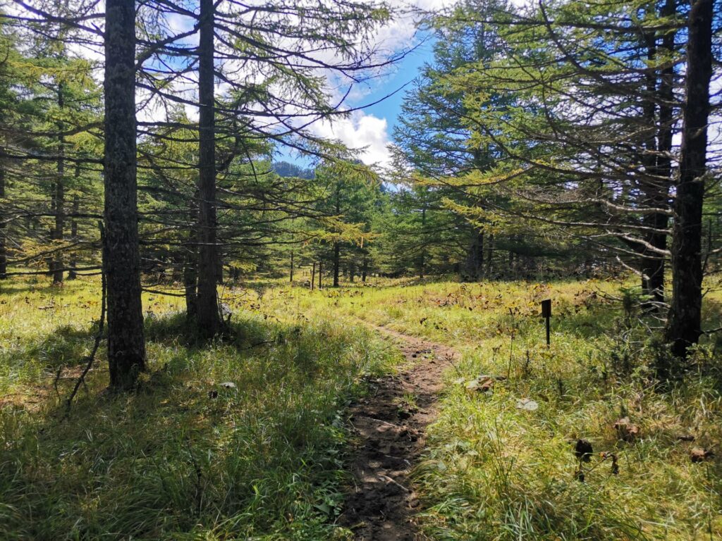 登山道