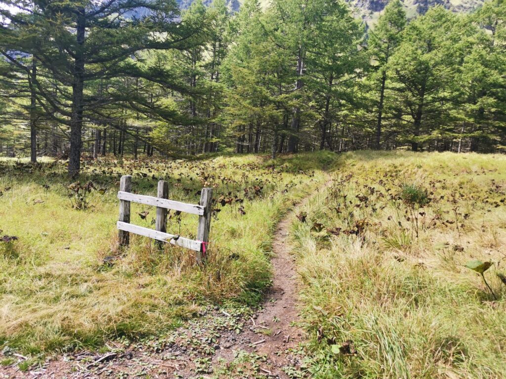 登山道