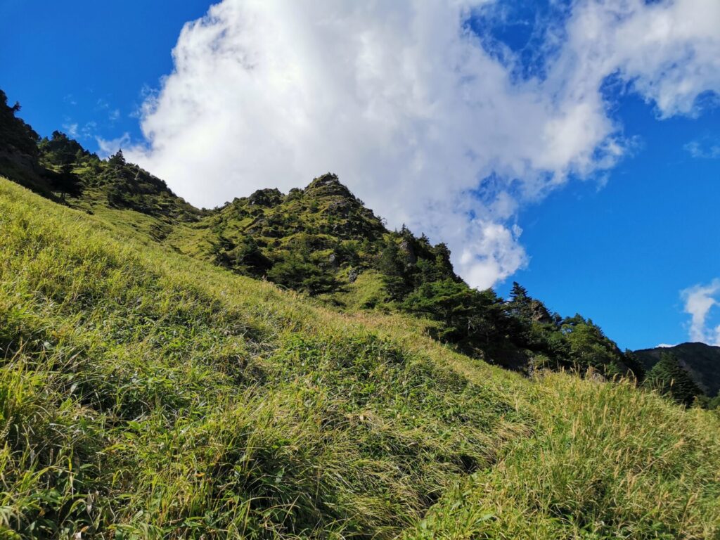 草すべり