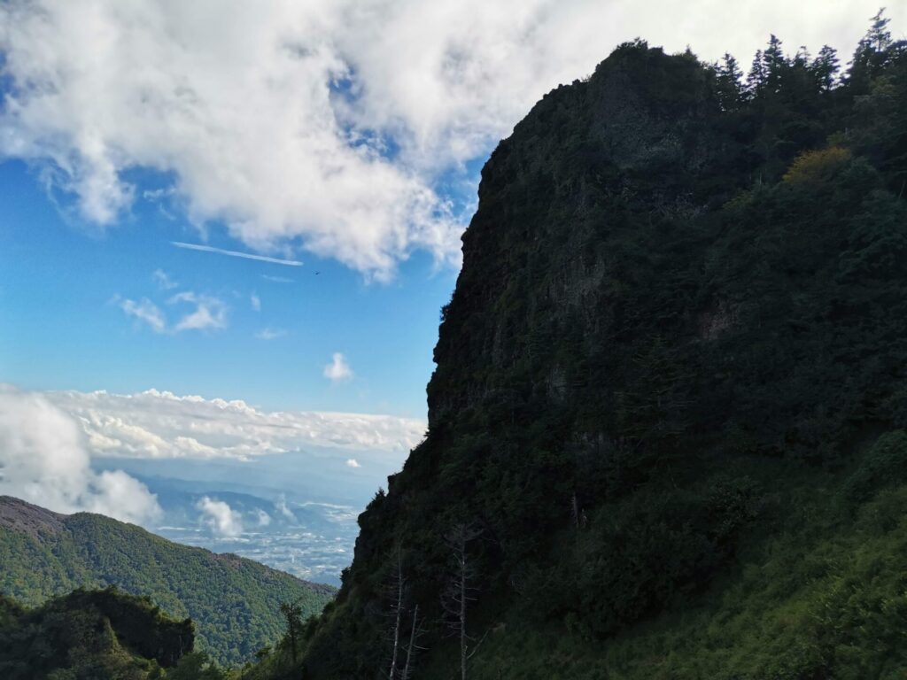 トーミの頭