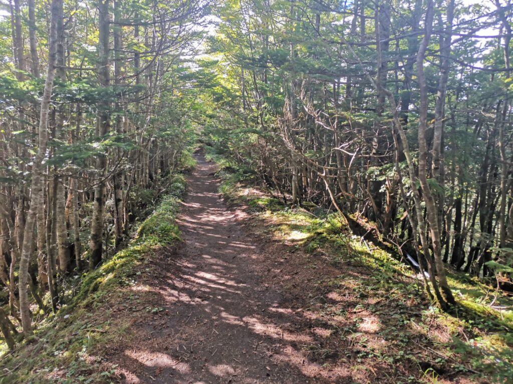 登山道