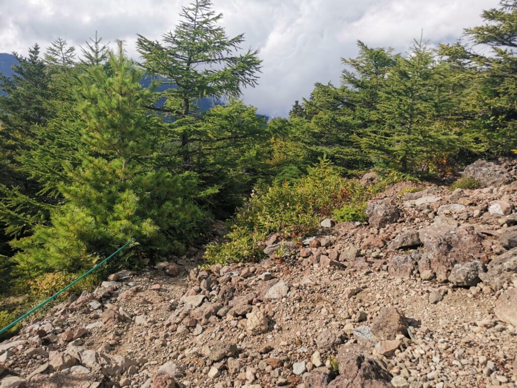 登山道