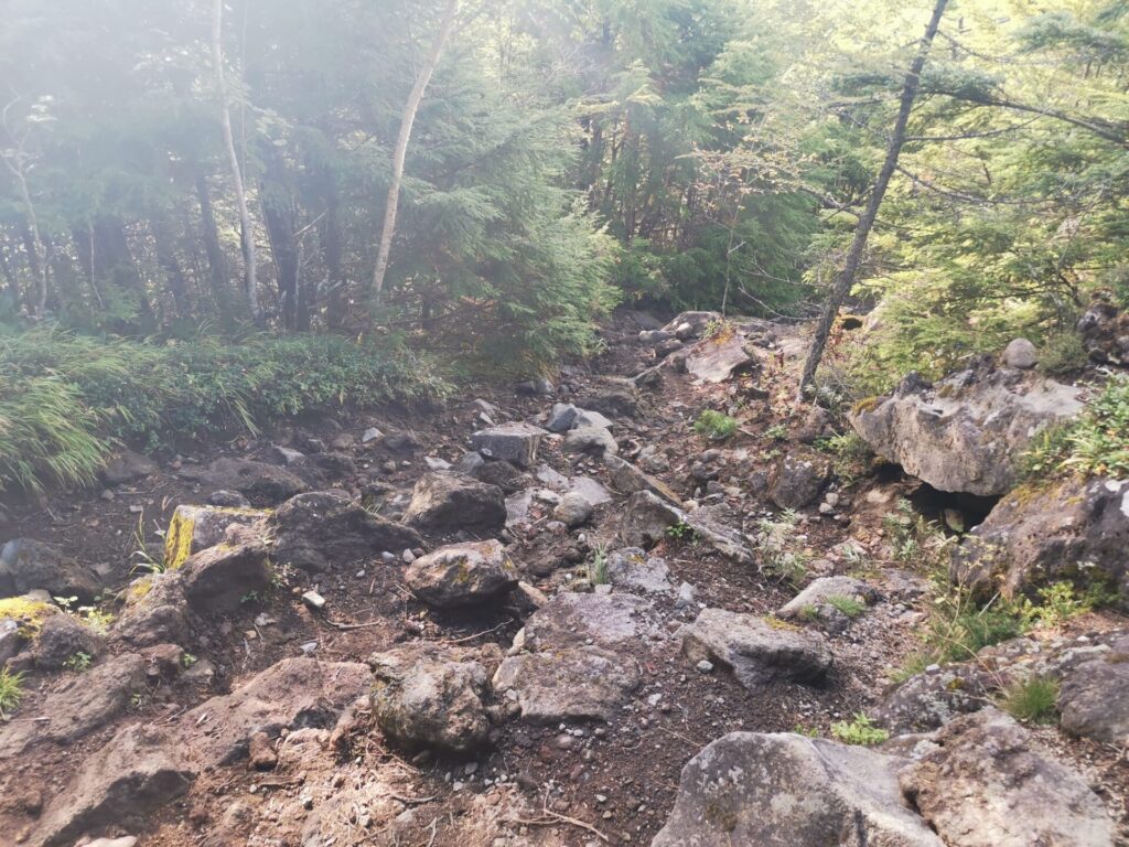 登山道 岩