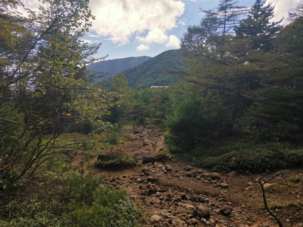 登山道