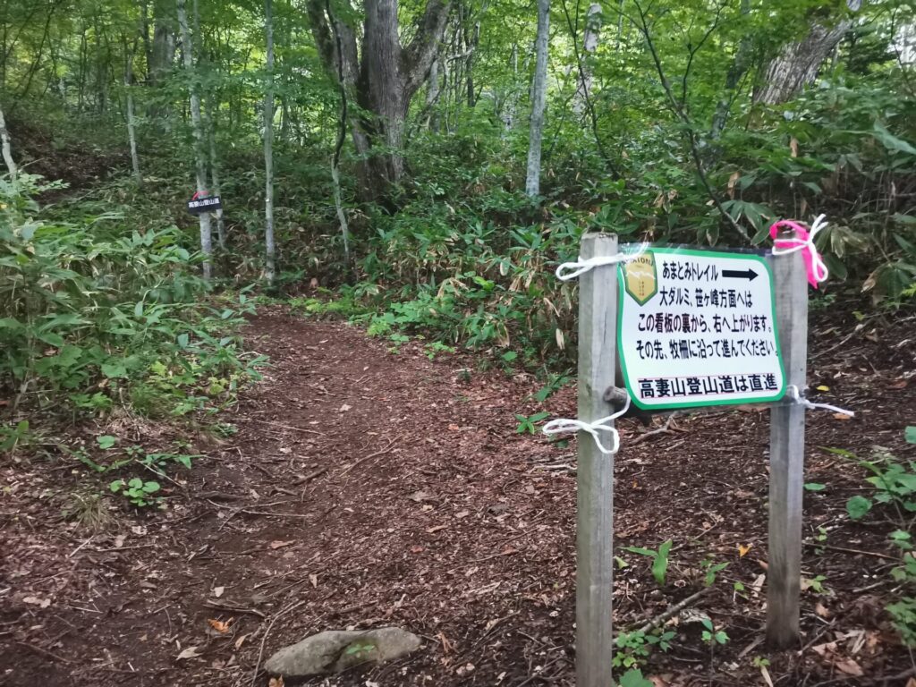 登山道