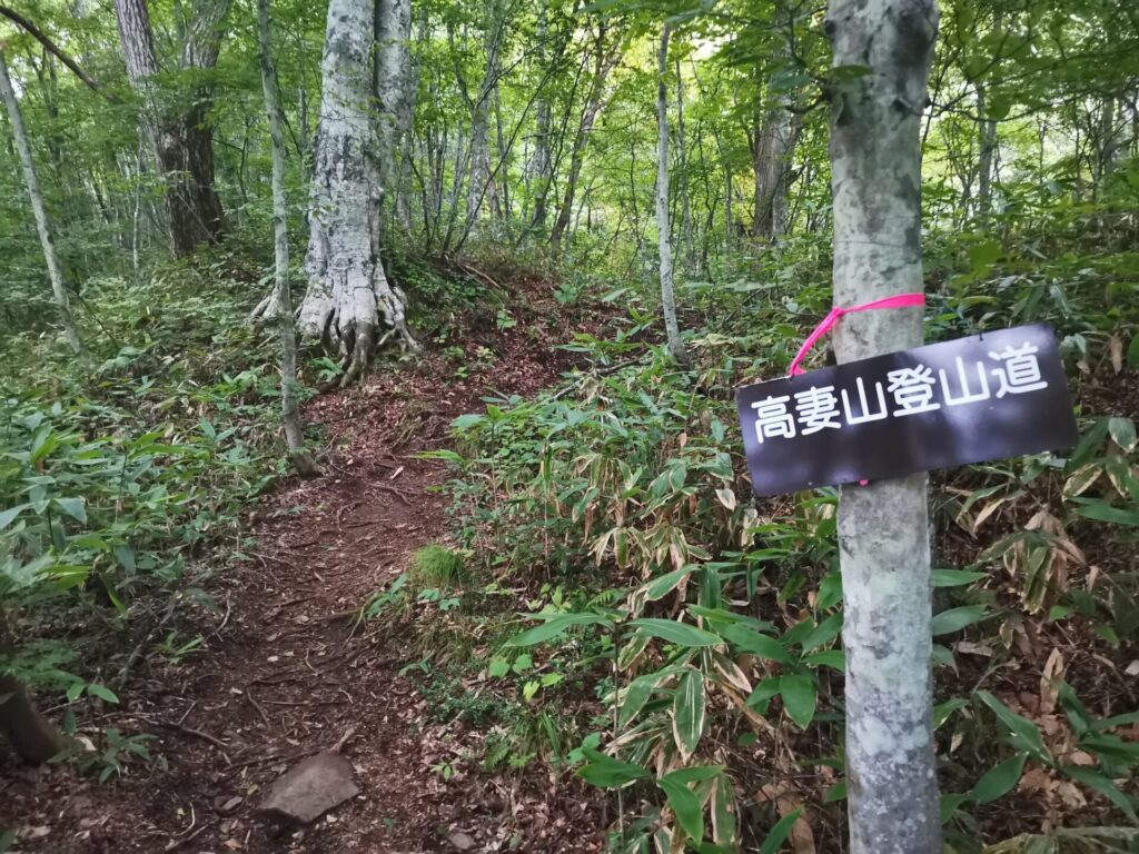 登山道 道標