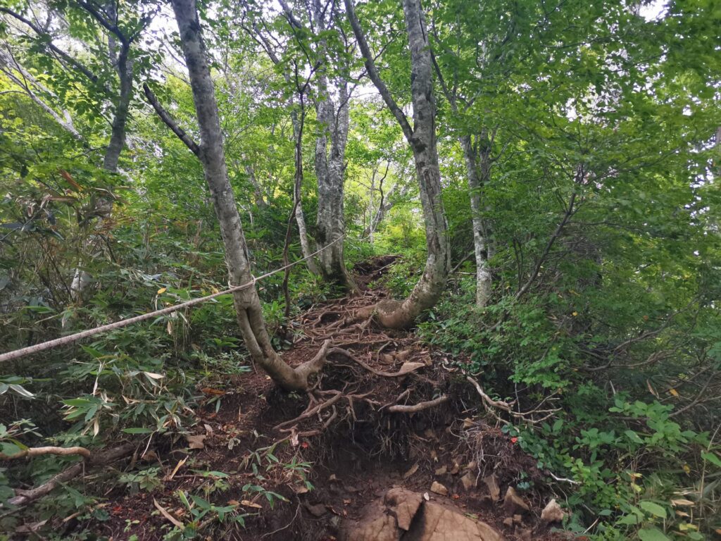 登山道