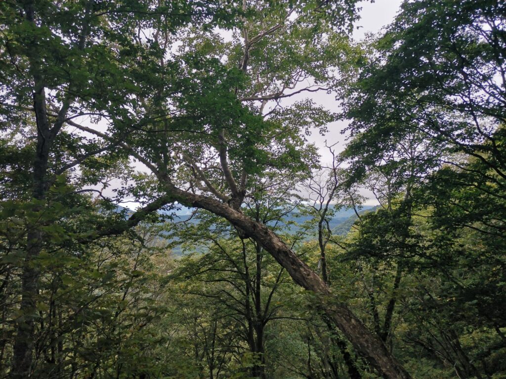 空 曇り