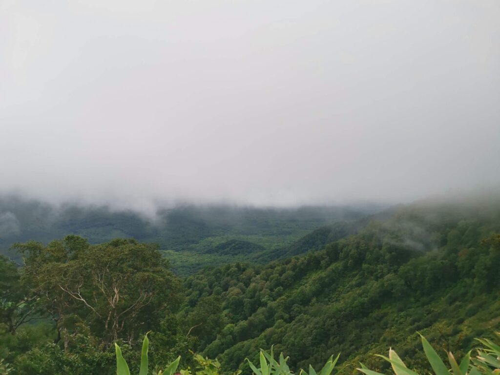 山 風景