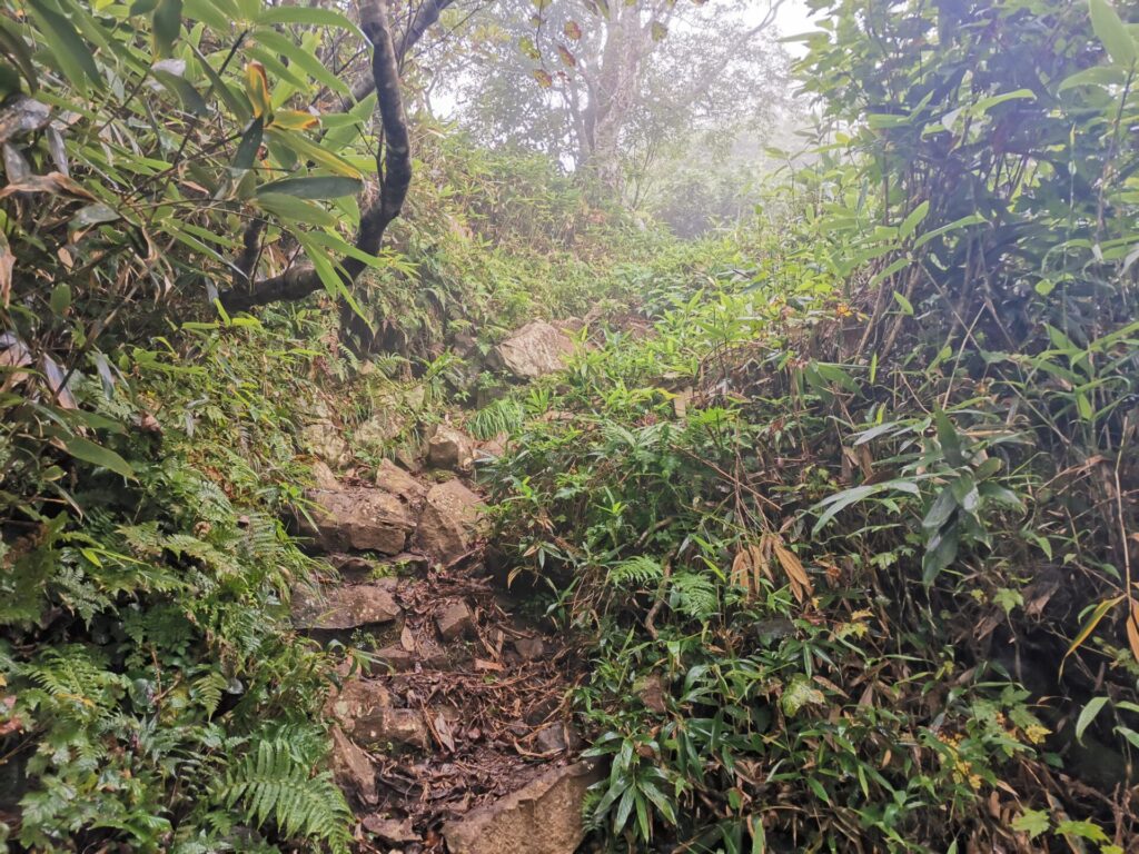 登山道