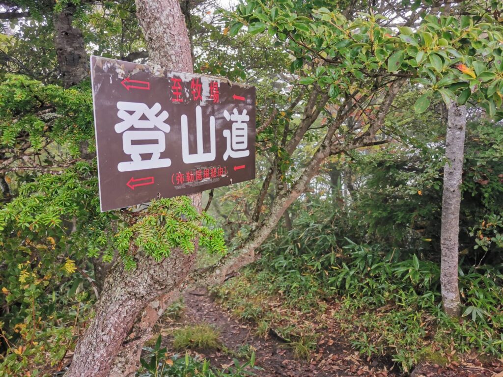 登山道 道標