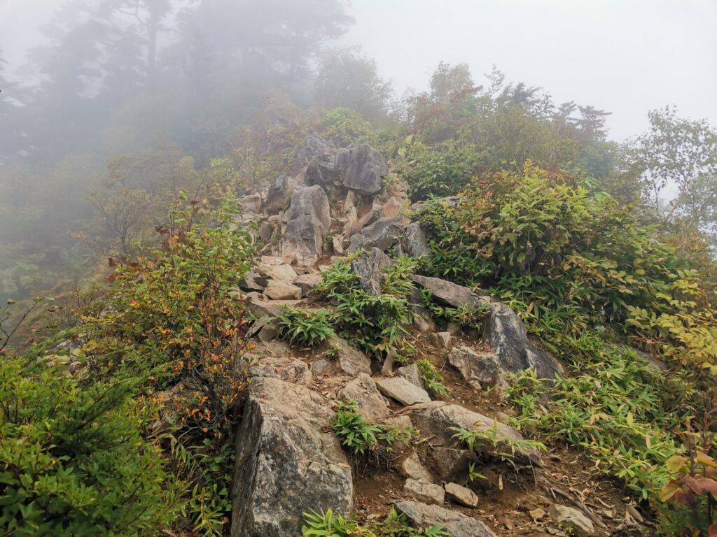 登山道 岩