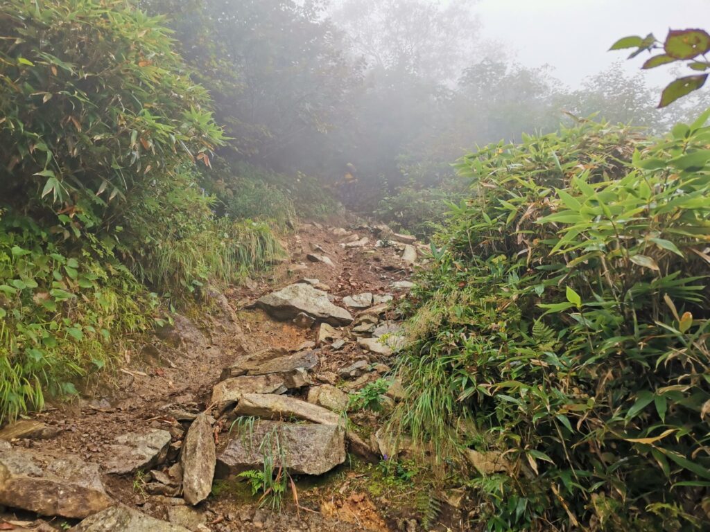 登山道