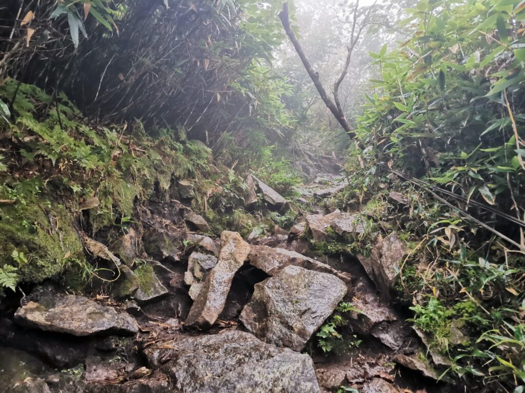 登山道 岩