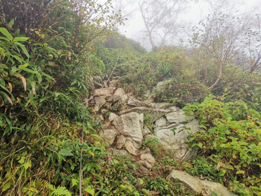 登山道