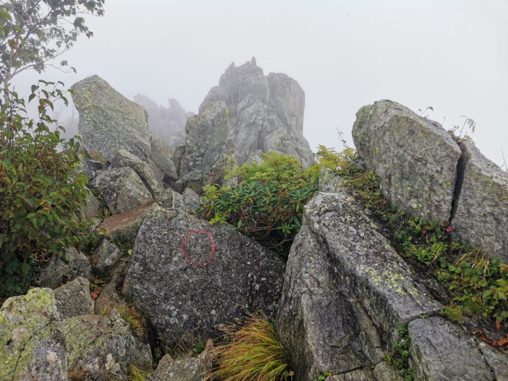 登山道 岩