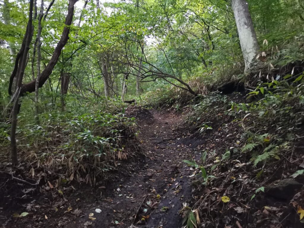 登山道