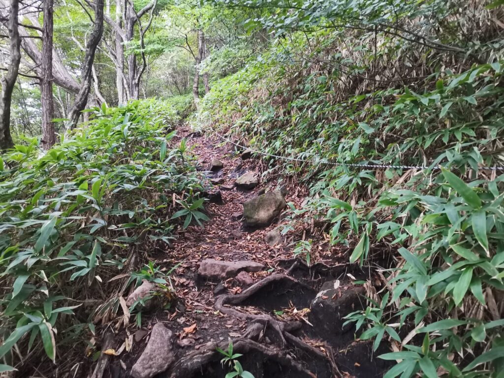 登山道 ロープ