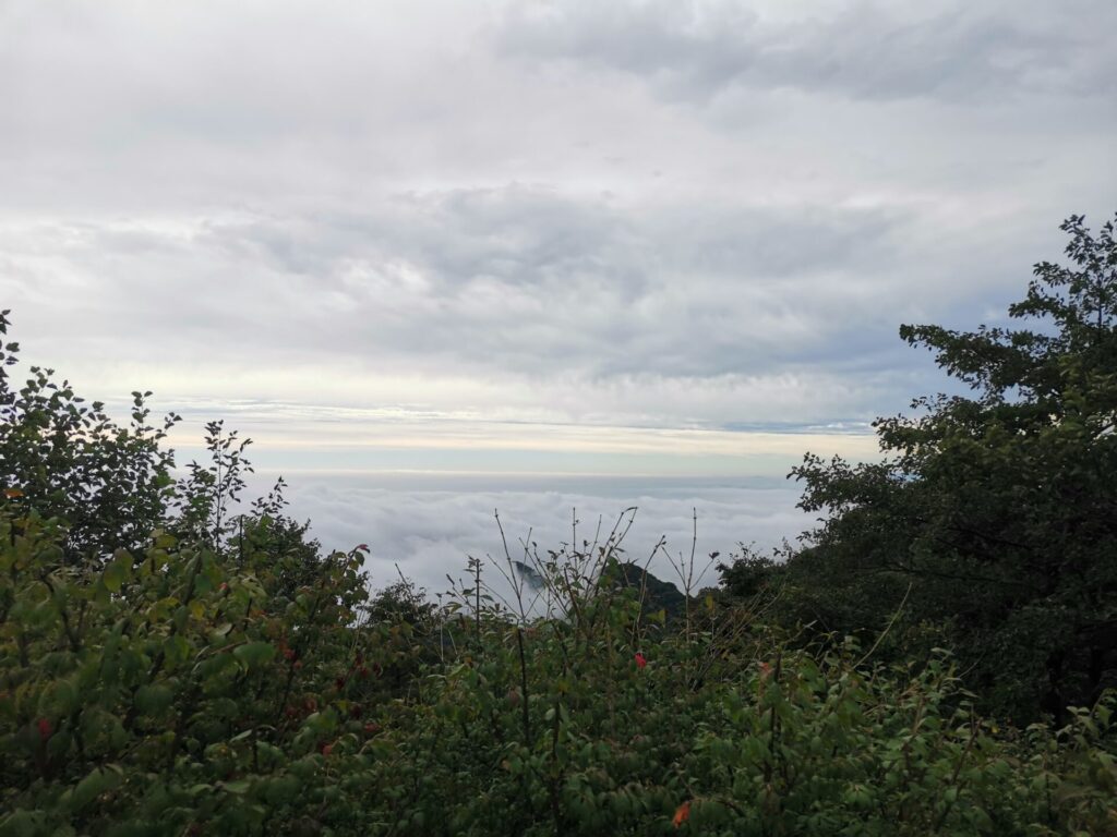 富士山神社 展望