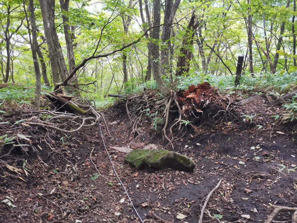 登山道