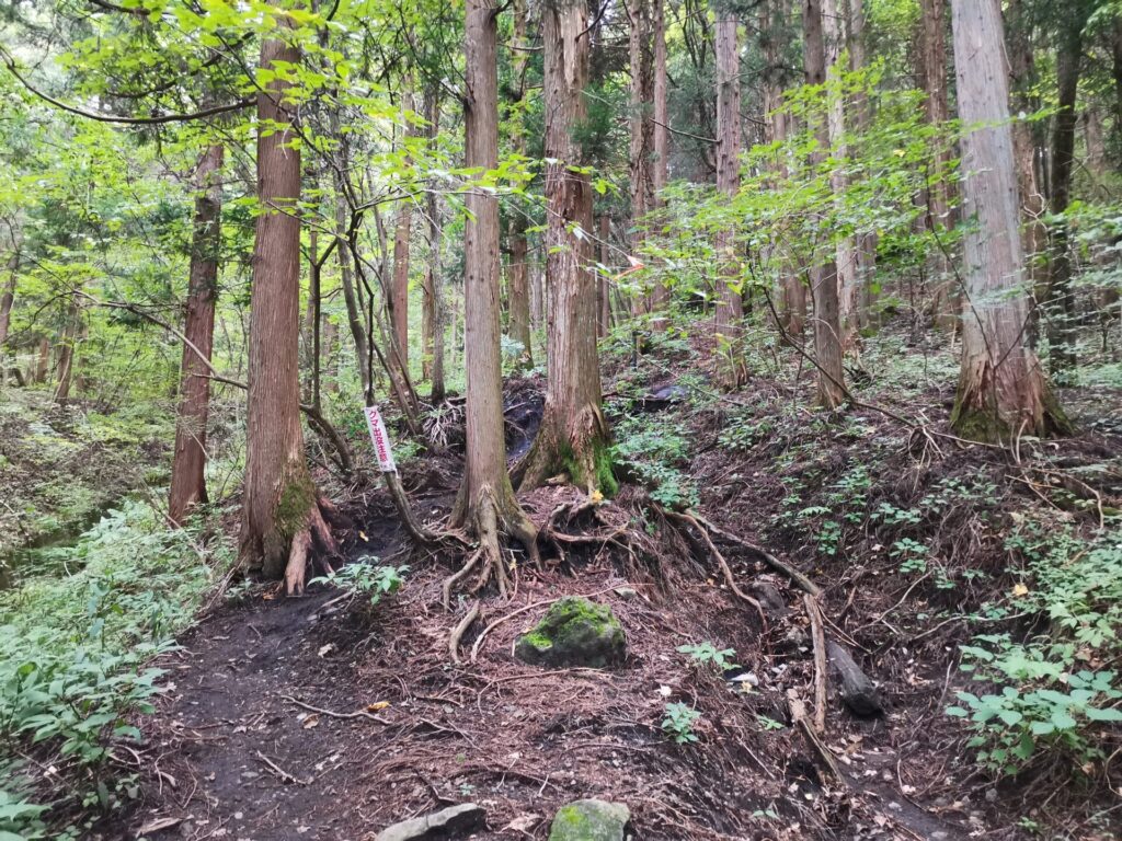 登山道