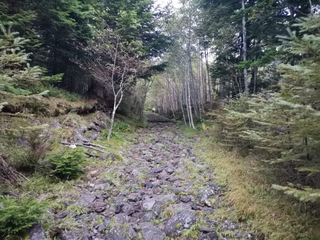 登山道