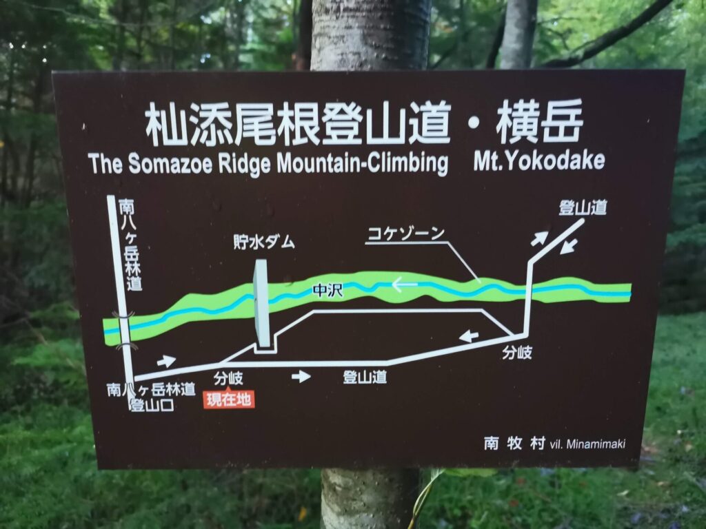 登山道 分岐