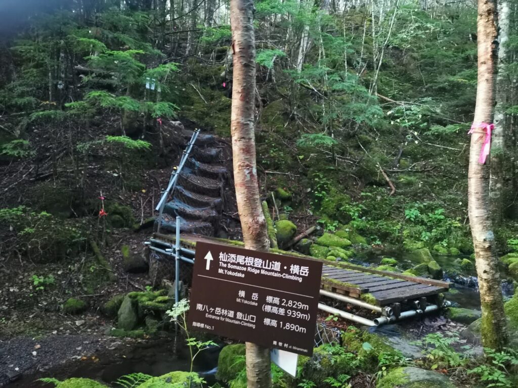 登山道