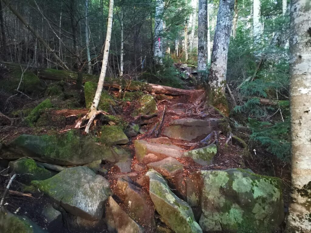 登山道 岩