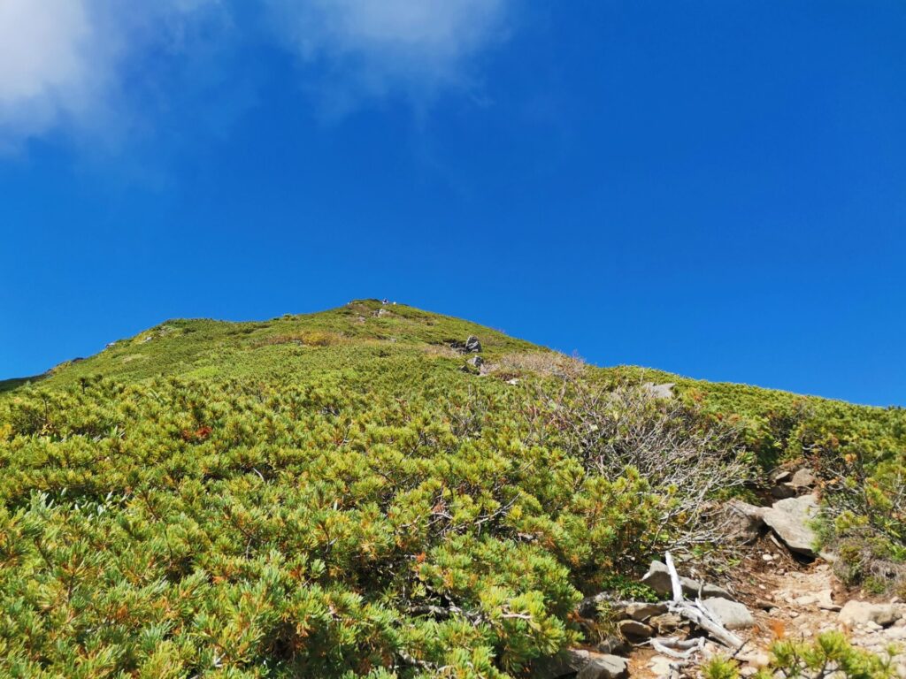 登山道