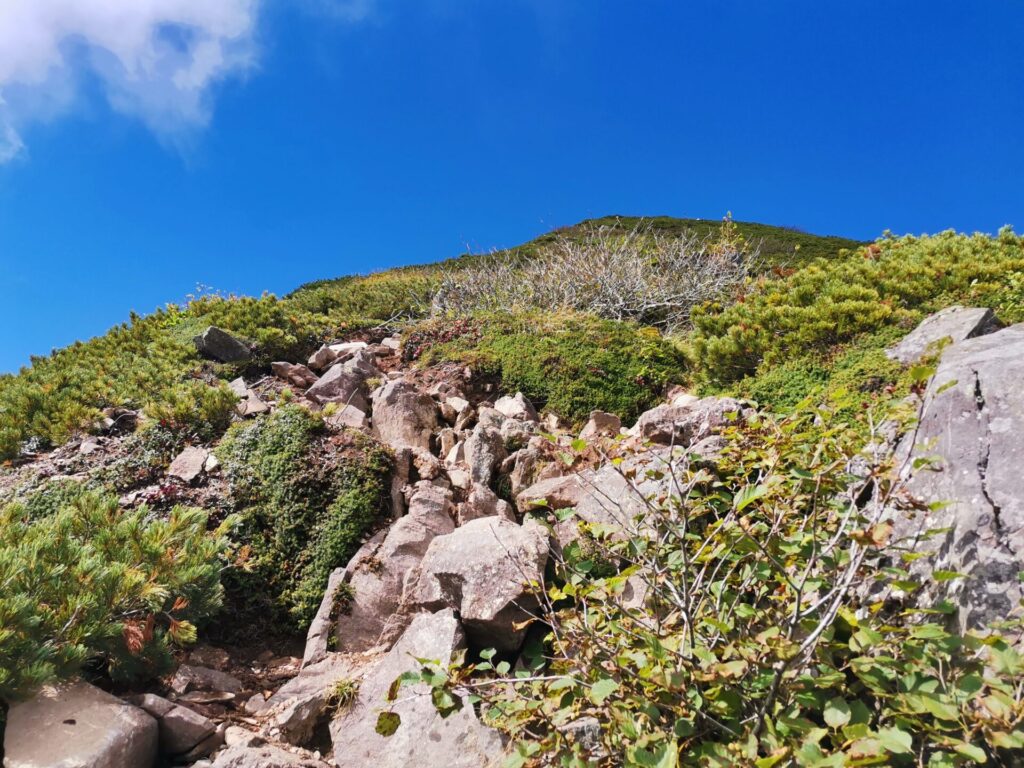 登山道