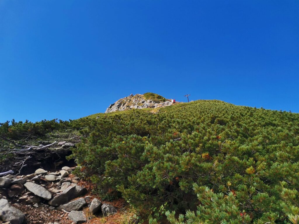 登山道