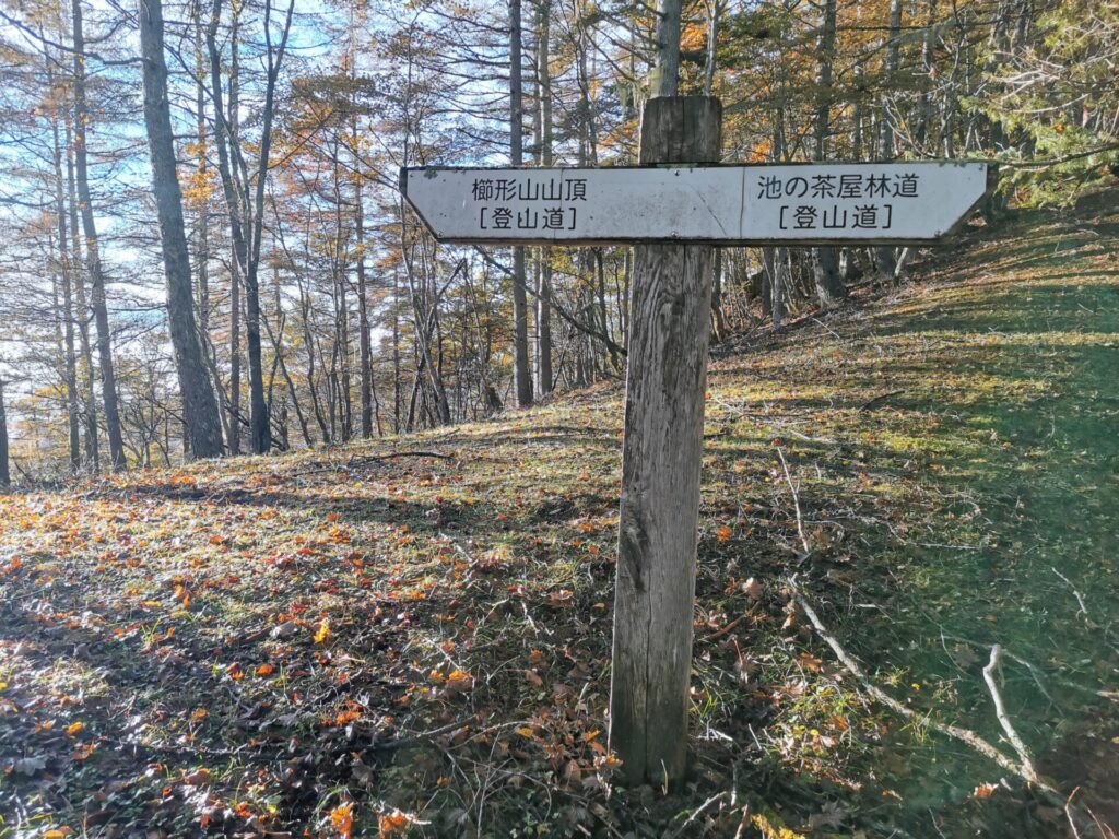 櫛形山山頂 道標