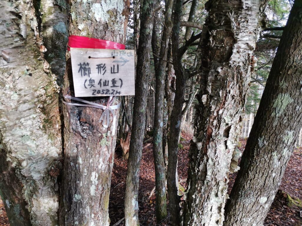 櫛形山 奥仙重