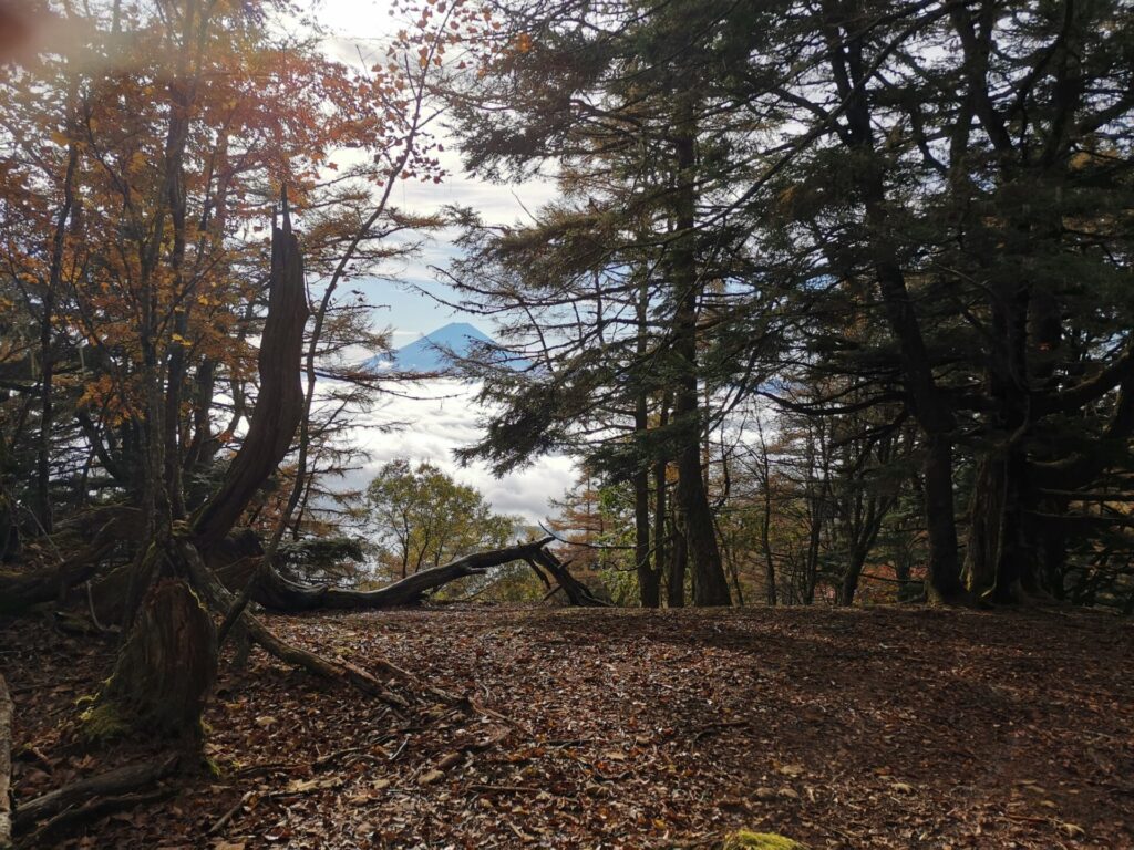 富士山