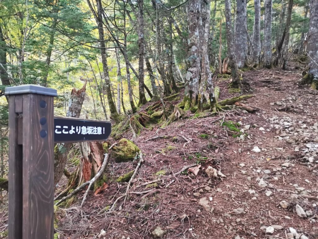 登山道