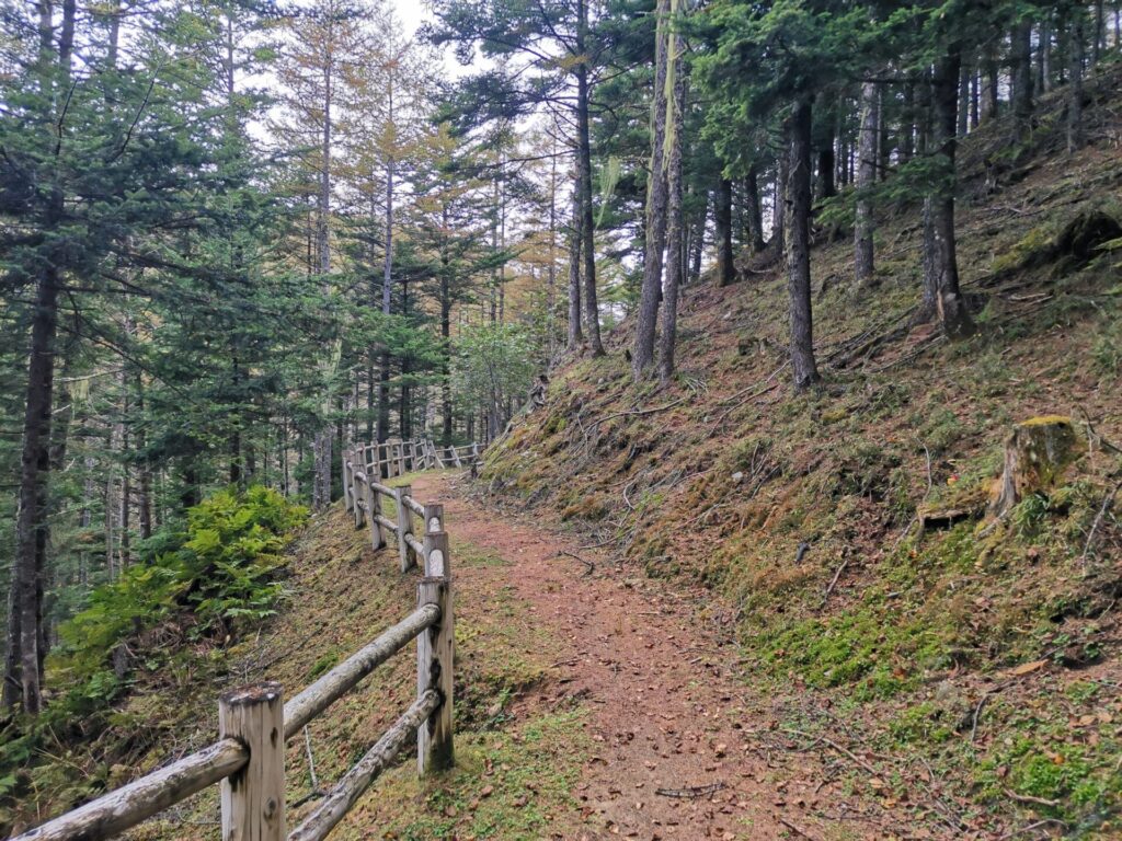 登山道