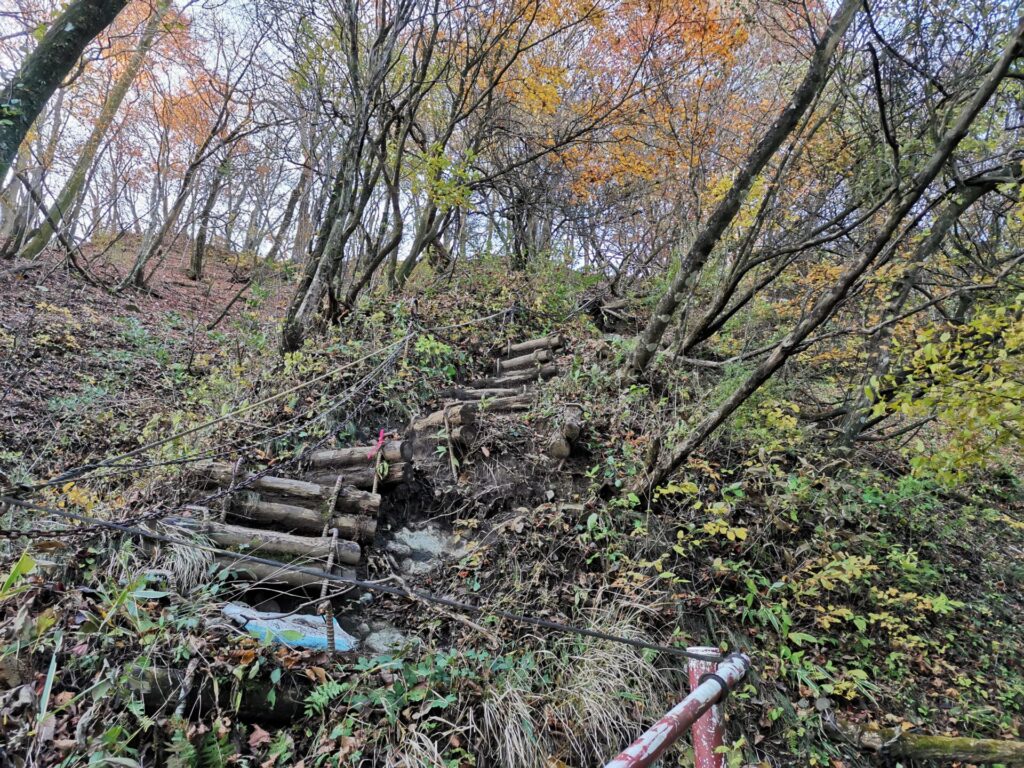 登山道